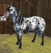 ....png (437 KB) ...