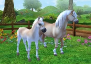Haflinger apka 1.png (974 KB) Haflinger apka 1