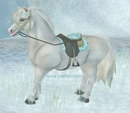 Koń fiordzki 2.png (297 KB) Koń fiordzki 2