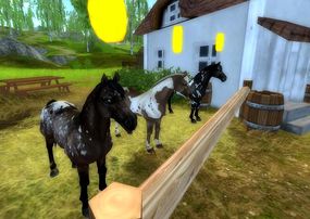 Newest Paint Horses on Star Stable Online-0