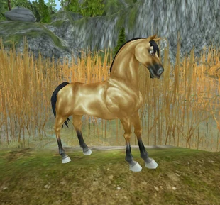 Akhal-Teke | Jorvikipedia | Fandom