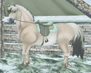 Koń fiordzki.png (276 KB) Koń fiordzki