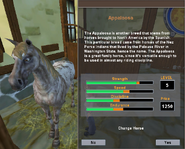 Appaloosa