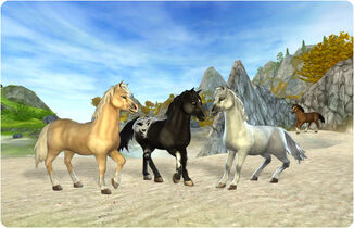 Ponies (1)