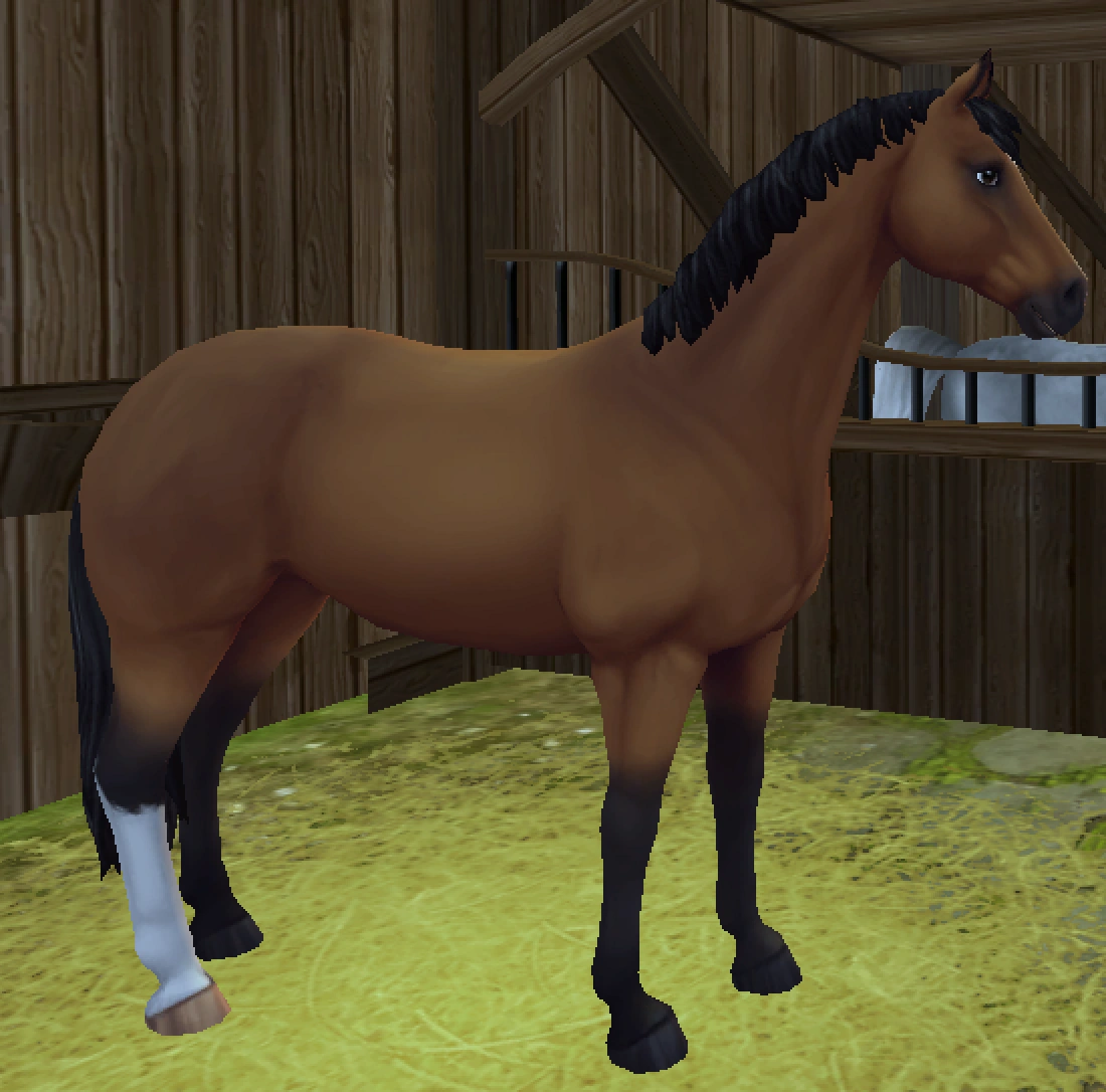 Trakehner/Gallery Jorvikipedia Fandom