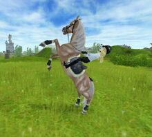 PXStudioRuntimeMMO 2015-04-17 10-46-48-064