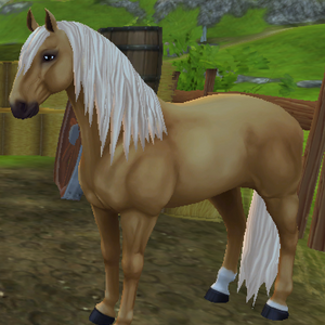 Lusitano Jorvikipedia Fandom
