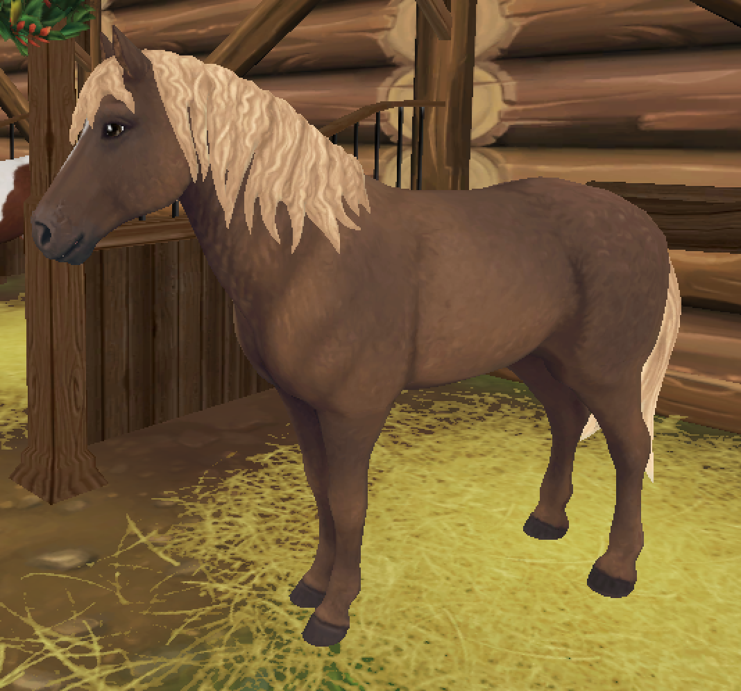 clothes star stable database