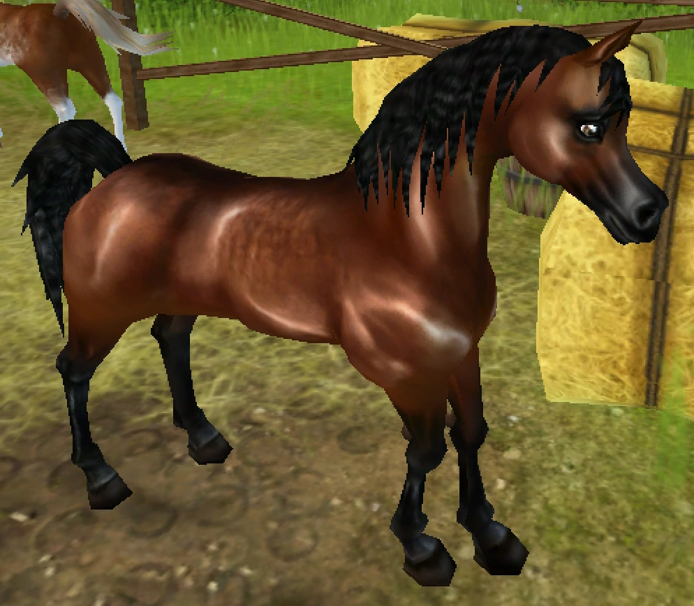 Arabian Thoroughbred Jorvikipedia FANDOM powered by Wikia