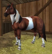 Mustang 2.png (257 KB) Mustang 2