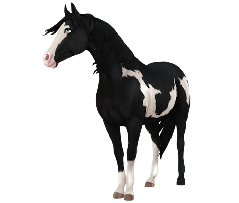 American Paint Horse Jorvikipedia FANDOM powered by Wikia