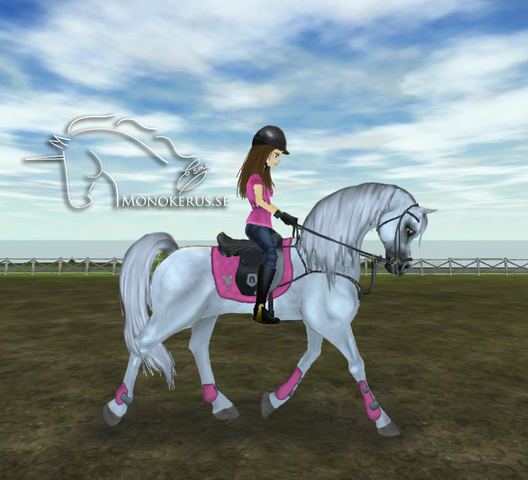 File:Arwen.png