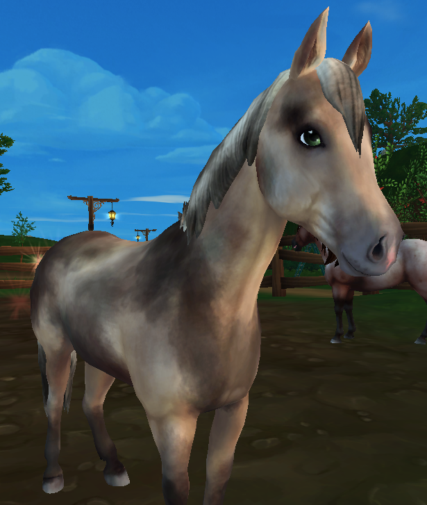 Mudskipper Jorvikipedia Fandom