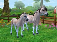 Aplikacja 3.png (375 KB) Aplikacja 3