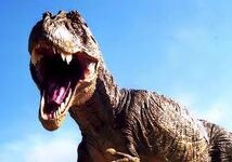 Trex!!!!!!!!!!!!!!!!!!!!