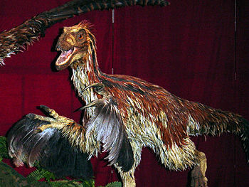 Crimsonraptor