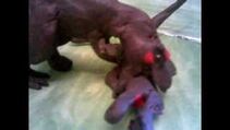 T.rex kills spino
