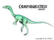 Compsognathus