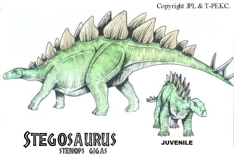 Stegosaurus stenops âgigasâ | JPL Live the Legend Wiki | Fandom