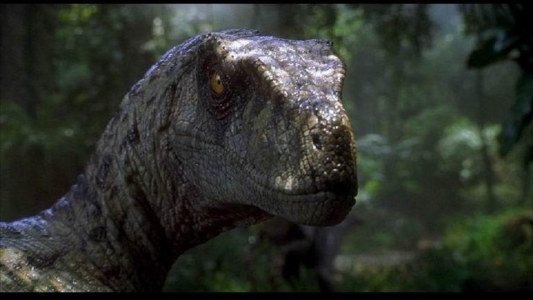 ingen velociraptor