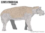Uintatherium