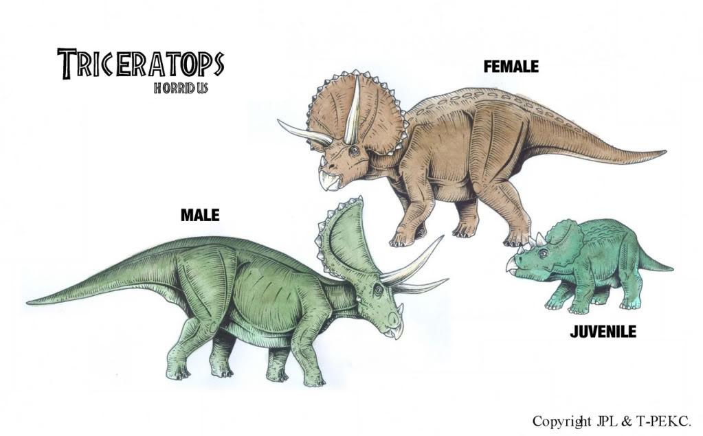 Image - Triceratops.jpg | JPL Live the Legend Wiki | FANDOM powered by Wikia