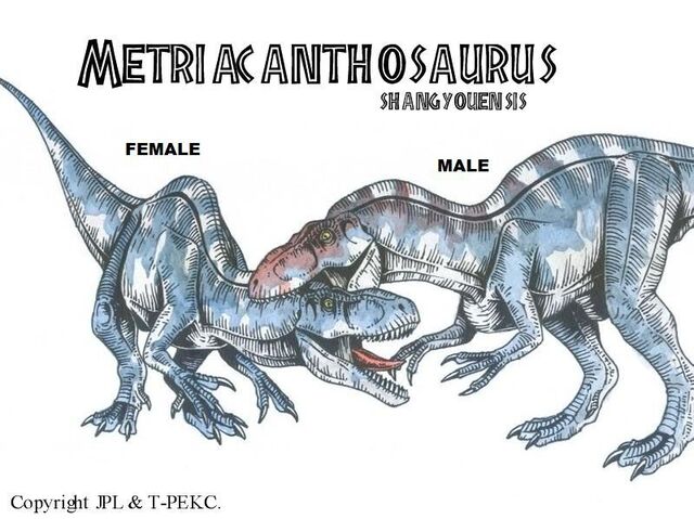 metriacanthosaurus fossil