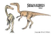 Segisaurus