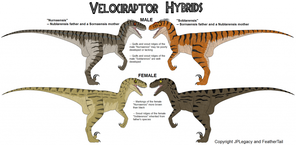 velociraptor and other raptors