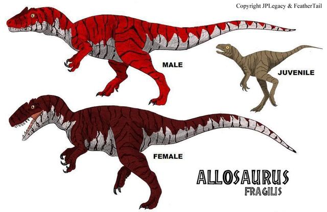 File:Allosaurus.jpg