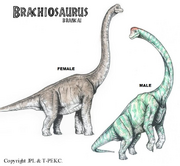 Brachiosaurus