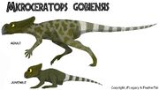 MicroceratopsgobiensisFeatherTailJPL