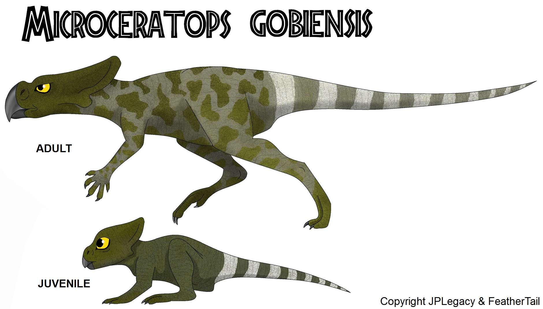 microceratus gobiensis microceratops jpl