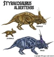 Styracosaurus