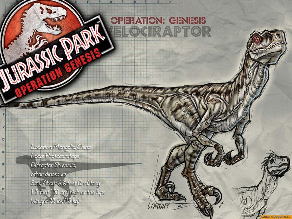 velociraptor dimensions
