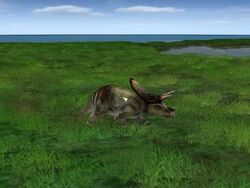 Torosaurus | Jurassic Park: Operation Genesis Wiki | FANDOM powered by Wikia