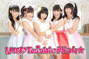 Luce-twinkle-wink