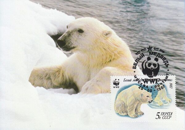 2023 新作 ソ連切手】1987 USSR WWF Polar Bearフルシート | motr.ca