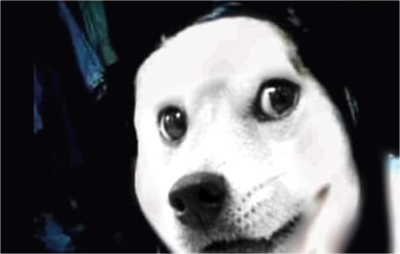 Jeff The Kitten | Jeff the Killer Wiki | Fandom