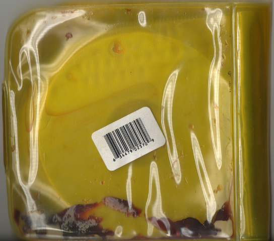 File:BKYLG BACK.png