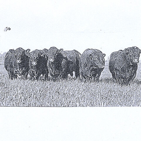 File:EFX ART.jpg