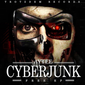 Aytee Cyberjunk