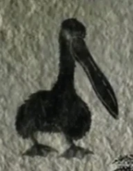 Pelican Jumanji Wiki Fandom Powered By Wikia