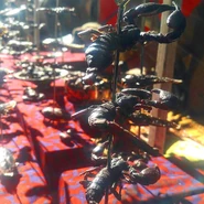 Bazaar Jumanji Wiki Fandom