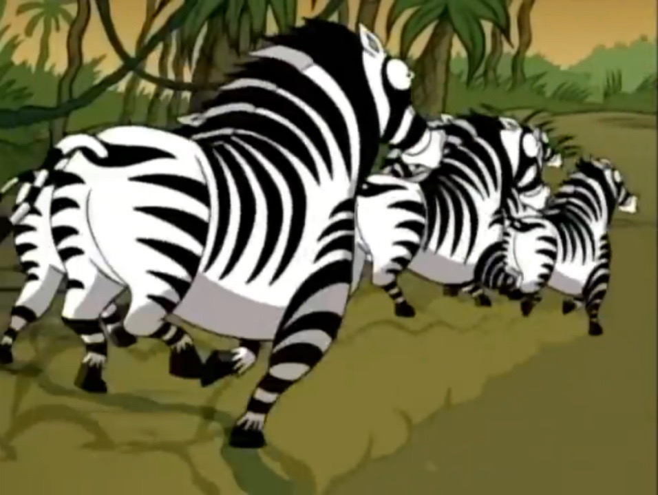 Zebra | Jumanji Wiki | FANDOM powered by Wikia