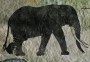 Jumanji 2017 Elephant Map