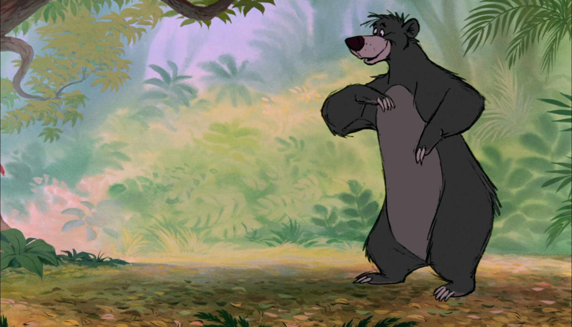 Image Baloo Disney Jungle Book Wiki Fandom Powered By Wikia 