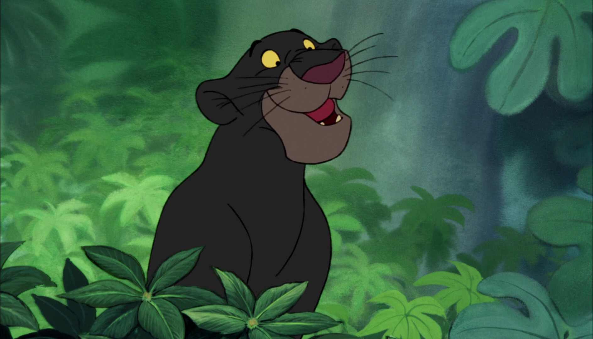 bagheera black panther