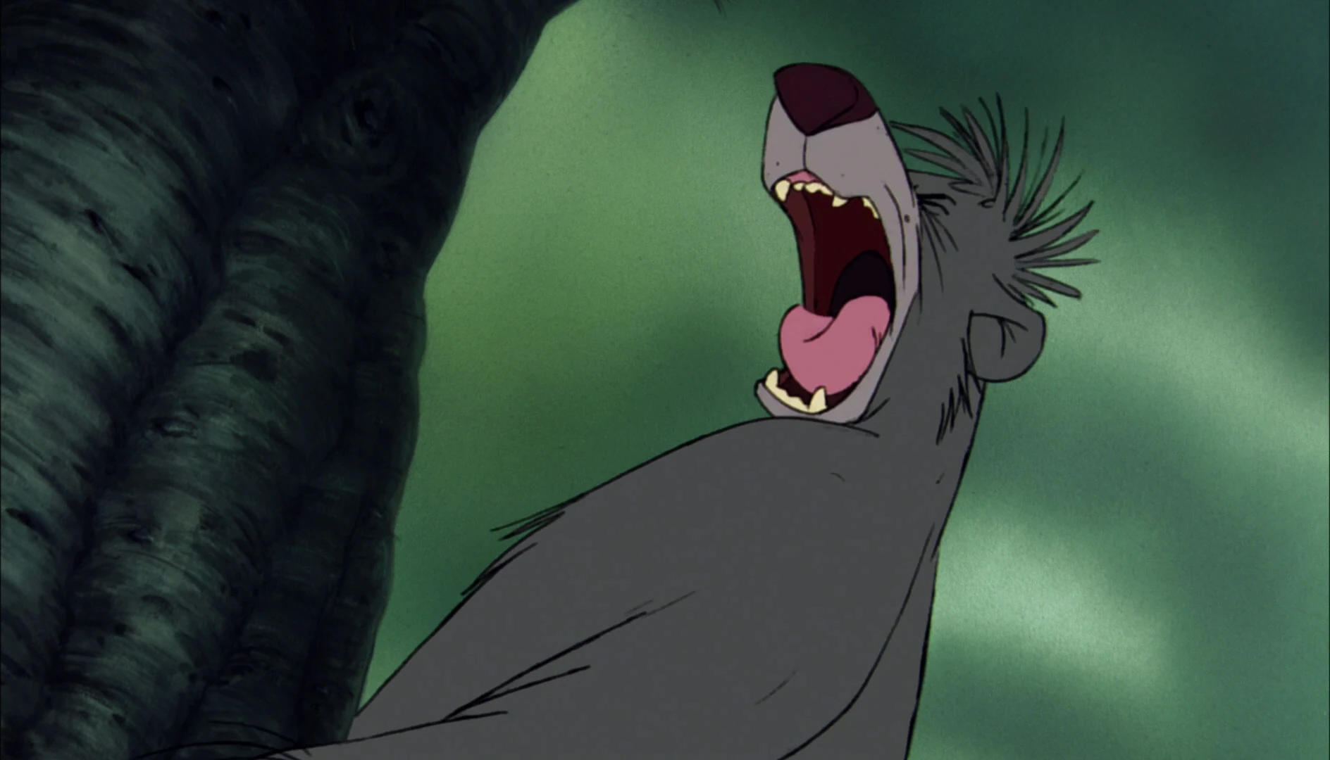 Baloo the Bear is screaming because Shere Khan the Tiger bite him on the butt