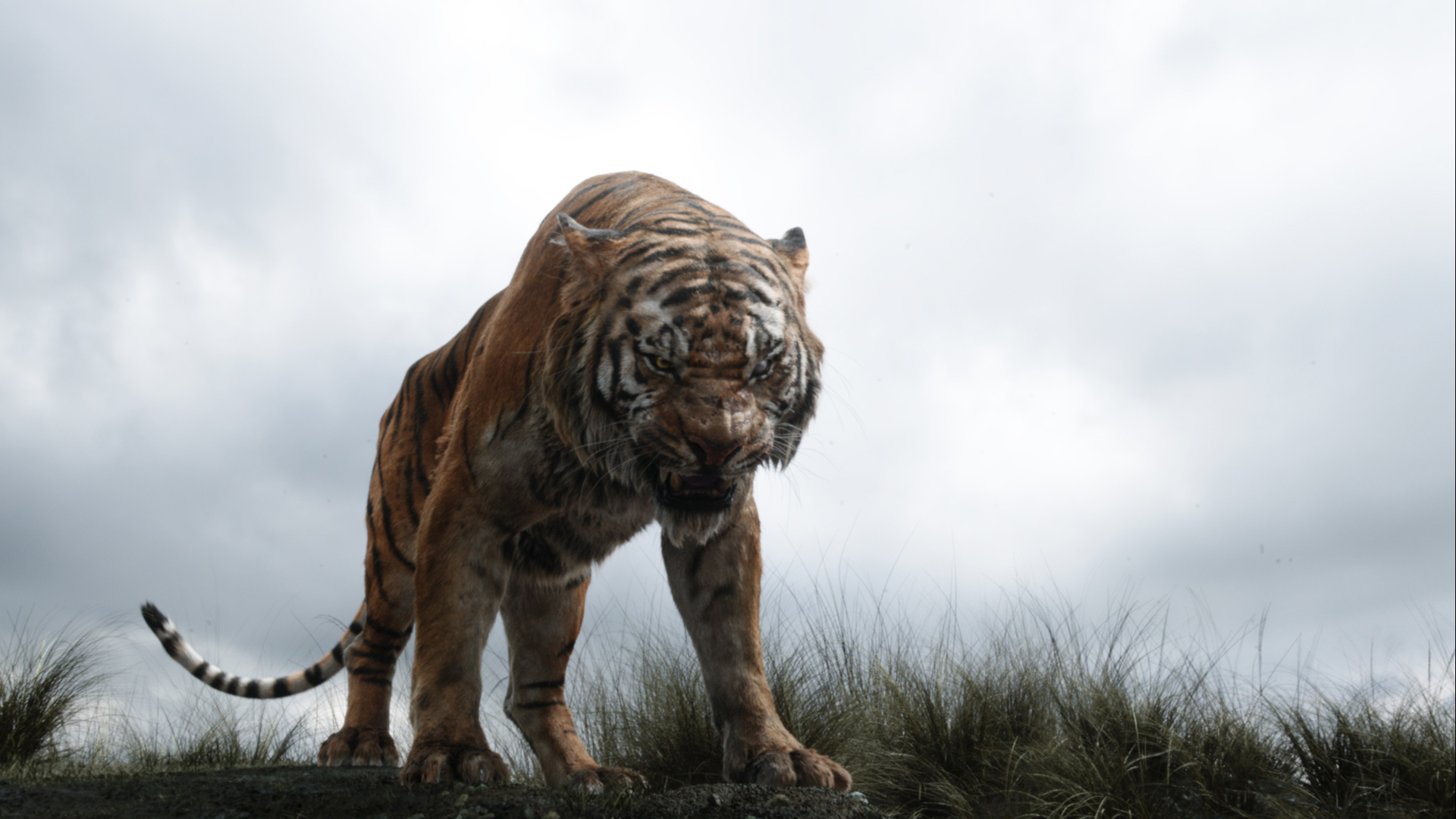 Image Shere Khan (Disney 2016).jpg Jungle Book Wiki FANDOM powered by Wikia